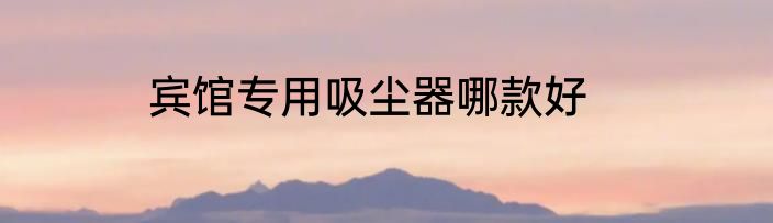 宾馆专用吸尘器哪款好