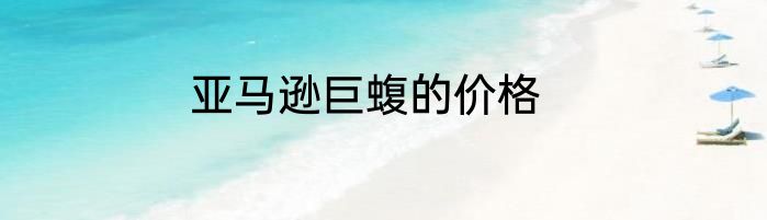 亚马逊巨蝮的价格