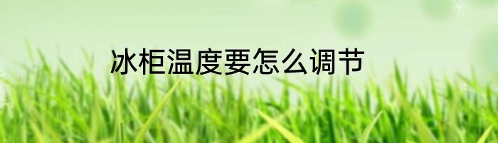 冰柜温度要怎么调节