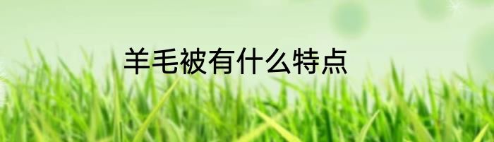 羊毛被有什么特点