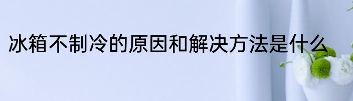 冰箱不制冷的原因和解决方法是什么