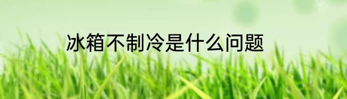 冰箱不制冷是什么问题