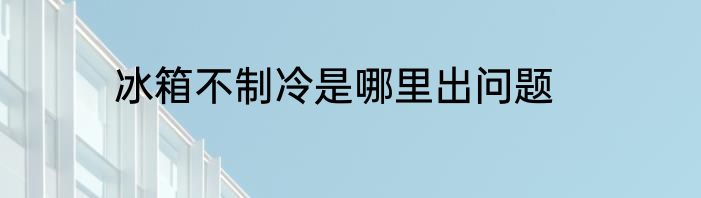 冰箱不制冷是哪里出问题