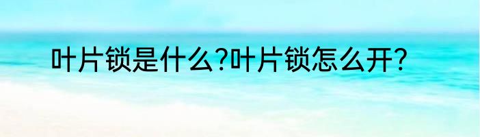 叶片锁是什么?叶片锁怎么开?
