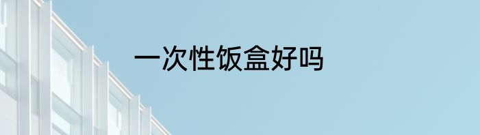 一次性饭盒好吗
