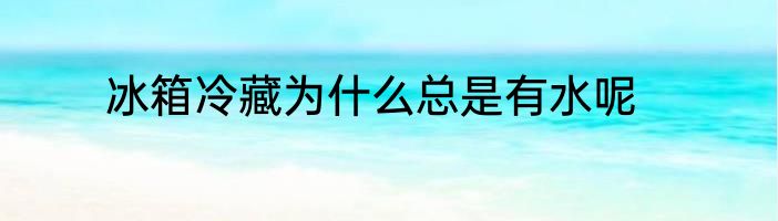 冰箱冷藏为什么总是有水呢