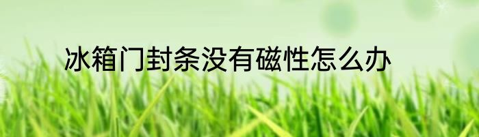 冰箱门封条没有磁性怎么办