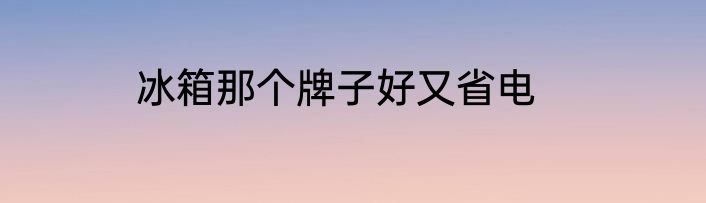 冰箱那个牌子好又省电