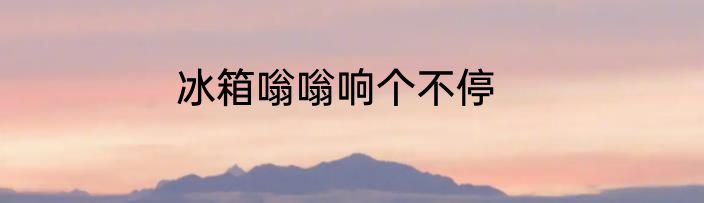 冰箱嗡嗡响个不停