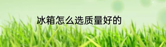 冰箱怎么选质量好的