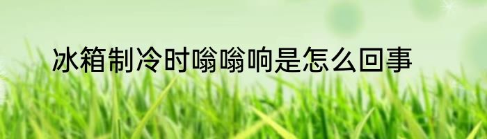 冰箱制冷时嗡嗡响是怎么回事