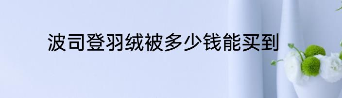 波司登羽绒被多少钱能买到