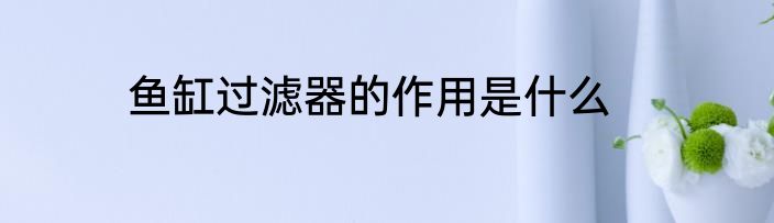 鱼缸过滤器的作用是什么