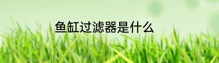 鱼缸过滤器是什么