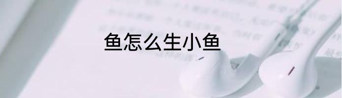 鱼怎么生小鱼