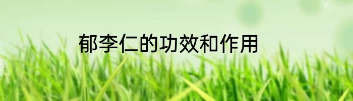 郁李仁的功效和作用