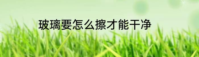 玻璃要怎么擦才能干净