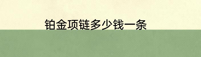 铂金项链多少钱一条