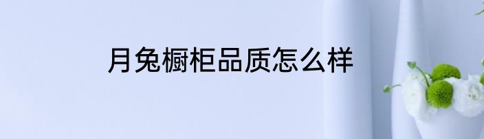 月兔橱柜品质怎么样