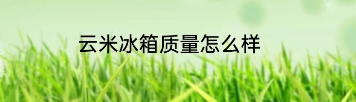 云米冰箱质量怎么样