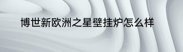 博世新欧洲之星壁挂炉怎么样