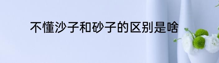 不懂沙子和砂子的区别是啥