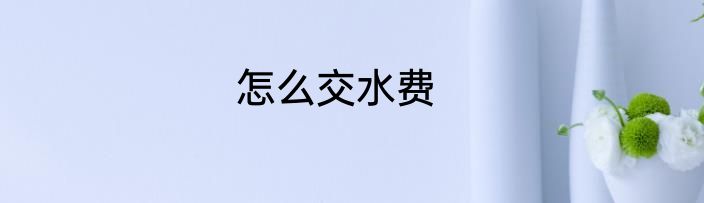 怎么交水费