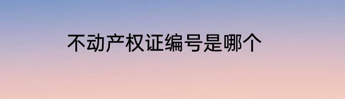 不动产权证编号是哪个