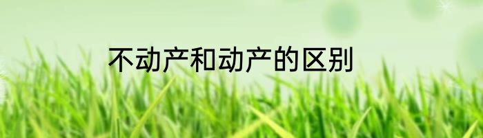 不动产和动产的区别