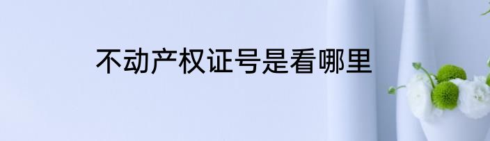 不动产权证号是看哪里