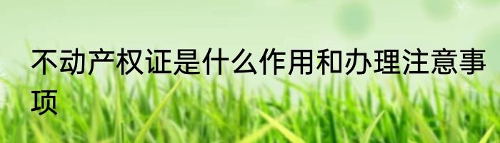不动产权证是什么作用和办理注意事项