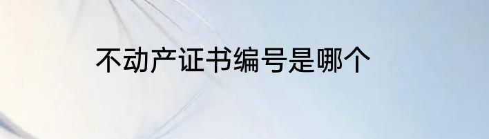 不动产证书编号是哪个