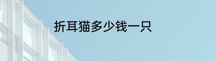 折耳猫多少钱一只