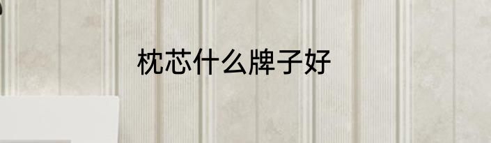 枕芯什么牌子好
