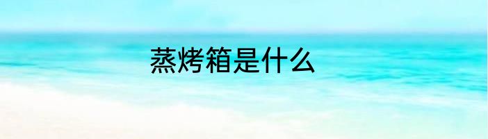 蒸烤箱是什么