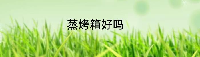 蒸烤箱好吗
