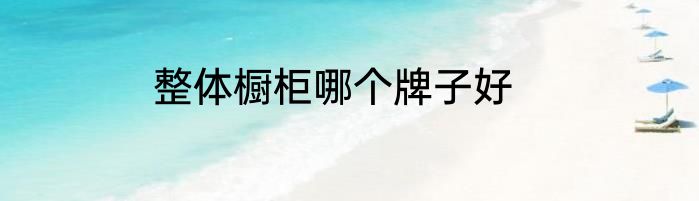 整体橱柜哪个牌子好