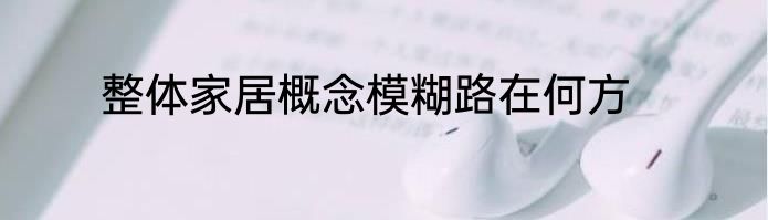 整体家居概念模糊路在何方