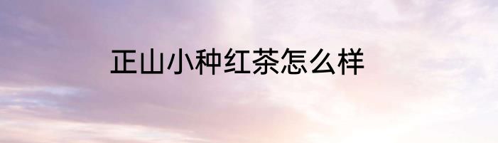 正山小种红茶怎么样