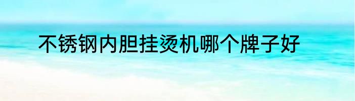 不锈钢内胆挂烫机哪个牌子好