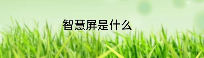 智慧屏是什么