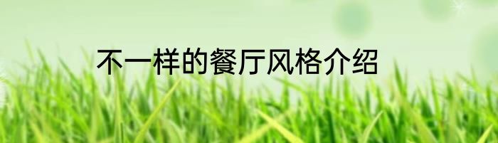 不一样的餐厅风格介绍
