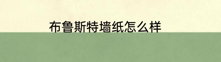 布鲁斯特墙纸怎么样