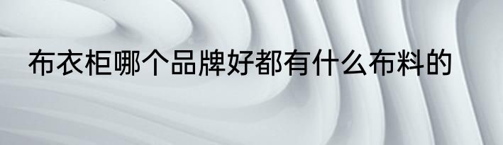布衣柜哪个品牌好都有什么布料的