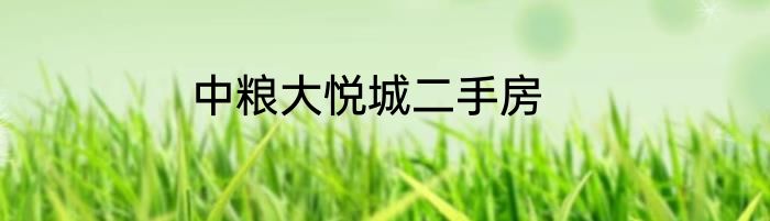 中粮大悦城二手房