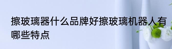 擦玻璃器什么品牌好擦玻璃机器人有哪些特点