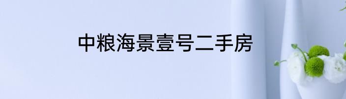 中粮海景壹号二手房