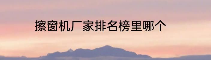 擦窗机厂家排名榜里哪个