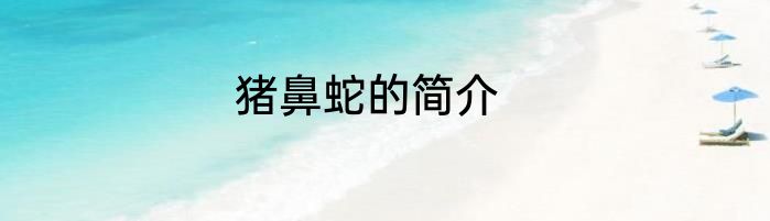 猪鼻蛇的简介
