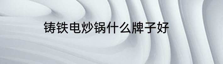 铸铁电炒锅什么牌子好
